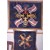 Colonial Glory Days Pattern
