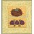 Bird Nest & Pansies Pattern