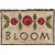 Blooming Blossoms