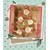 Candyland Star Ornaments