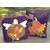 Blessed Harvest Patternsby Plum Pudding