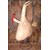 Boing!!!   The Bunny Pattern & Rusty Spring