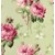 Barefoot Roses 29