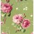 Barefoot Roses