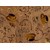 Choco-Latte Folk Art Quilting Fabric ~ by Whimsicals Quilts ~ Terri Degenkolb for Red Rooster Fabrics