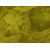 The Haunted Hallow Quilting Fabric