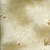 Lecien - Mrs. March Fabric Tan-Cream - Acorns