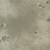 Lecien - Mrs. March Fabric Grey - Acorns