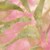 Pathway Batiks Quilting Fabric
