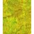 Princess Mirah Batiks - Citrus Tree Collection - Limeade Quilting Fabric