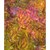 Princess Mirah Batiks - Get Away Retreat Collection - Aster Quilting Fabric