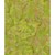 Princess Mirah Batiks - Parrot Island Collection - Green Glow Quilting Fabric