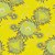 Color Splash Floral