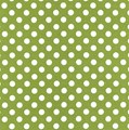 Kimberbell Basics-Green with White Dots - by Maywood Studios