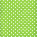 Christmas Candy - Dots on Green - by Doodlebug Designs for Riley Blake Designs