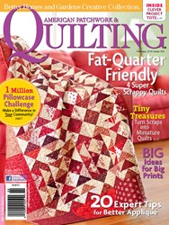 American Patchwork & Quilting February 2010