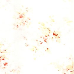 Lecien - Durham Quilt - Fat Quarter  - Cream - Rose Floral