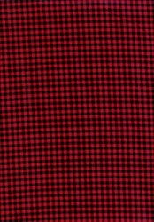 Home for the Holidays - Red & Black Check