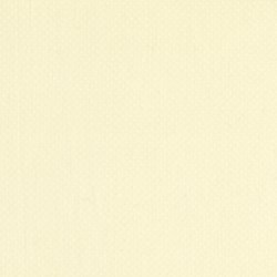 Antique Dots in Cream on Cream by Lakehouse Dry Goods