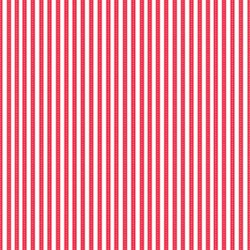 Teeny Weeny Stripe Red Lakehouse Dry Goods