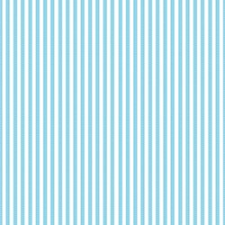 Teeny Weeny Stripe Turquoise Lakehouse Dry Goods
