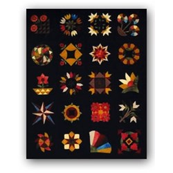Antique 1800s -1940s Wool Applique Kit Bed Rug Block of The Month