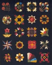 Wool Applique Kit Bed Rug Block of The Month