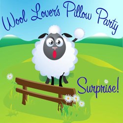 Wool Lover's Pillow Party