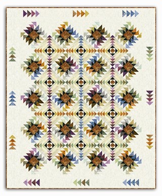 Texas Star Queen Size Quilt Kit - LAST ONE!