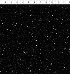 14" Remnant - Cosmos -Midnight Galaxy  Jason Yenter for In the Beginning Fabrics