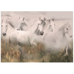 Call of The Wild - Spirit Horses / Dawn #R4592-112
