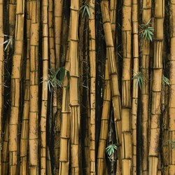 R4635-495-Bamboo -  Hoffman Call of the Wild Digital  Print - Bamboo