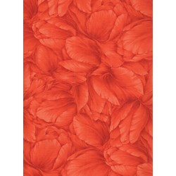 Floral Legacy - Orange by Kona Bay Fabrics