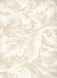 William Scrolls -Cream  by Kona Bay Fabrics