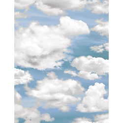 Clouds - Nature - by Timeless Treasures #CD6901-Sky