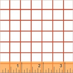 31" Remnant - Citrus - Red Check on White - by Windham Fabrics